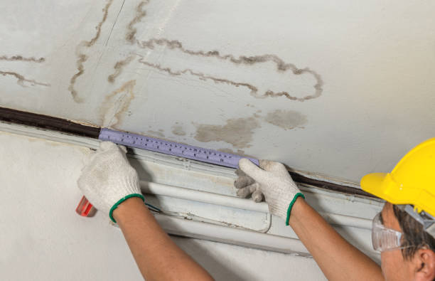Reliable Burst Pipe Cleanup contractor in Nada, TX by Water Damage Irwin